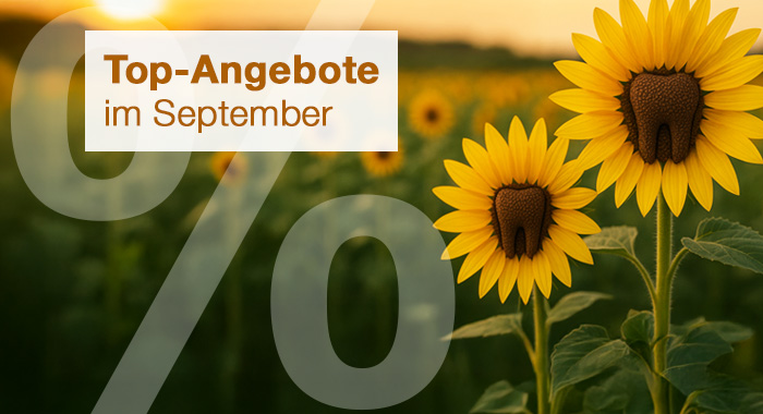 Top-Angebote im September